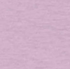 Carolina Ascent FC Crest Adult T-Shirt - Heather Prism Lilac - Color Swatch Variant