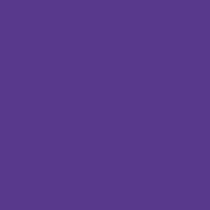 Universal Kids Resort T-Shirt Logo - Purple - Color Swatch Variant
